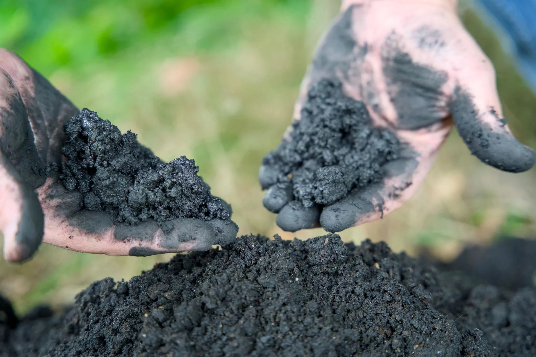 Biomass Gasification